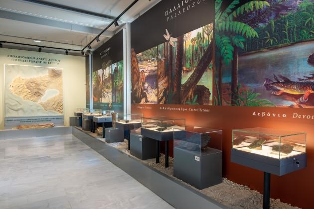 Μουσείο Φυσικής Ιστορίας Απολιθωμένου Δάσους Λέσβου