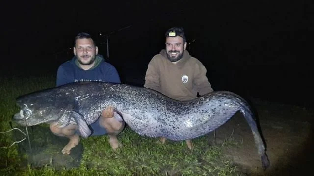 Το μεγαλύτερο ψάρι που έχει αλιευθεί στην Ελλάδα.