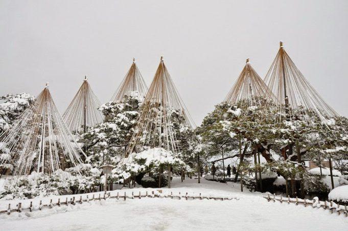 Ιαπωνική Τεχνική Προστατεύει Τα Δέντρα Απο Το Βάρος Του Χιονιού